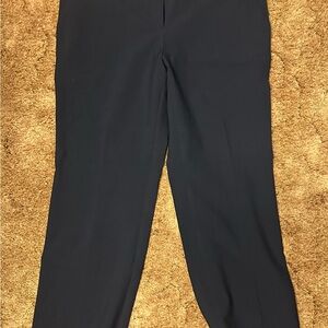 Ann Taylor Navy Trousers
